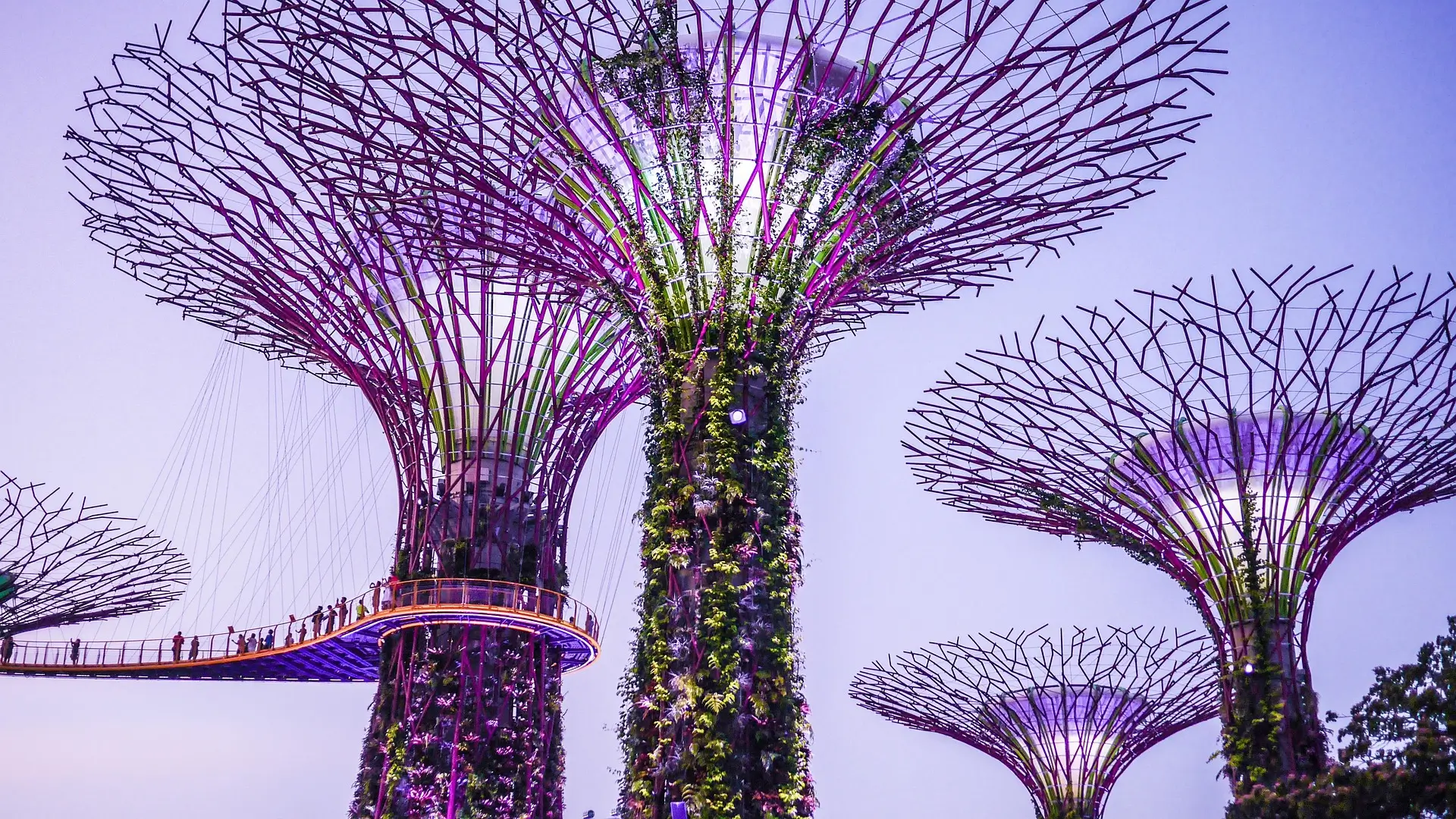 Singapore City Tour– 2 Days / 1 Night